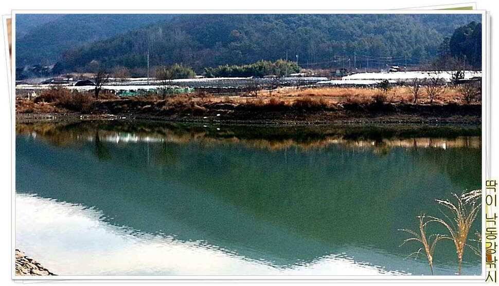 낙동강낚시밀양부산양산 (조황조행기 - 낚시점조황)