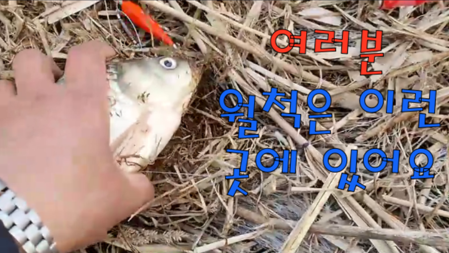 리얼 월척찾아 탐사낚시 (커뮤니티 - 낚시동영상)