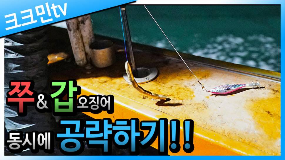 가지채비로 쭈꾸미와 갑오징어 낚시 (커뮤니티 - 낚시동영상)