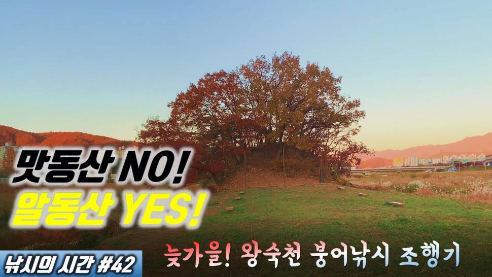 서울 근교 낚시하기 좋은 곳 남양주 왕숙천 알동산에 다녀왔습니다 (커뮤니티 - 낚시동영상)