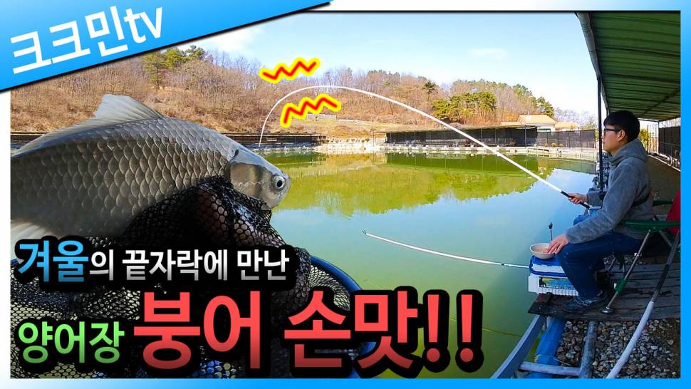 하우스용 저부력 채비를 사용한 양어장 붕어낚시 찌올림 사슬채비 주성낚시터 (커뮤니티 - 낚시동영상)