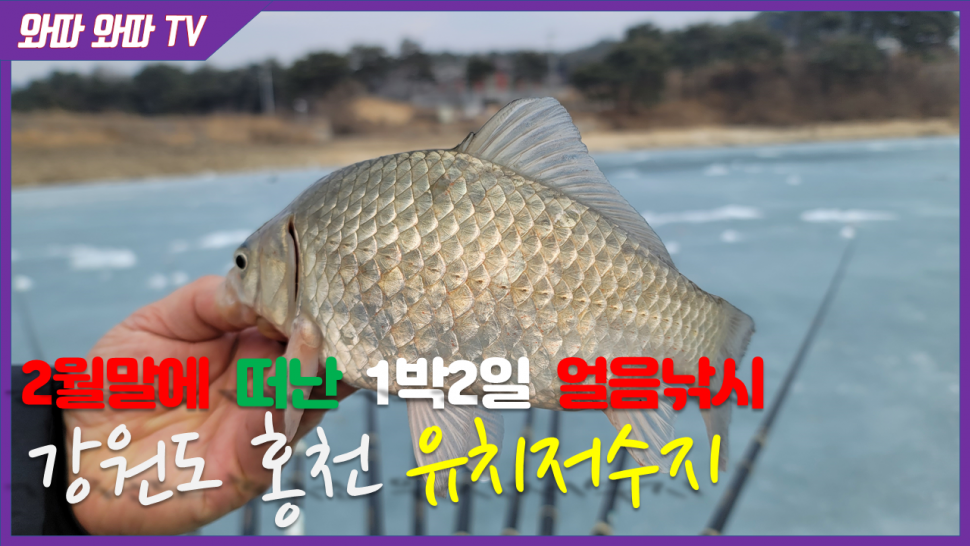 얼음이 녹는게 아쉬워 떠난 마지막 얼음낚시 강원도 홍천 유치저수지 (커뮤니티 - 낚시동영상)