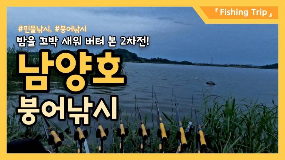 여름더위와 모기떼 극성을 이겨내며 남양호 붕어낚시 2차전 밤을 꼬박 새웠지만 (커뮤니티 - 낚시동영상)