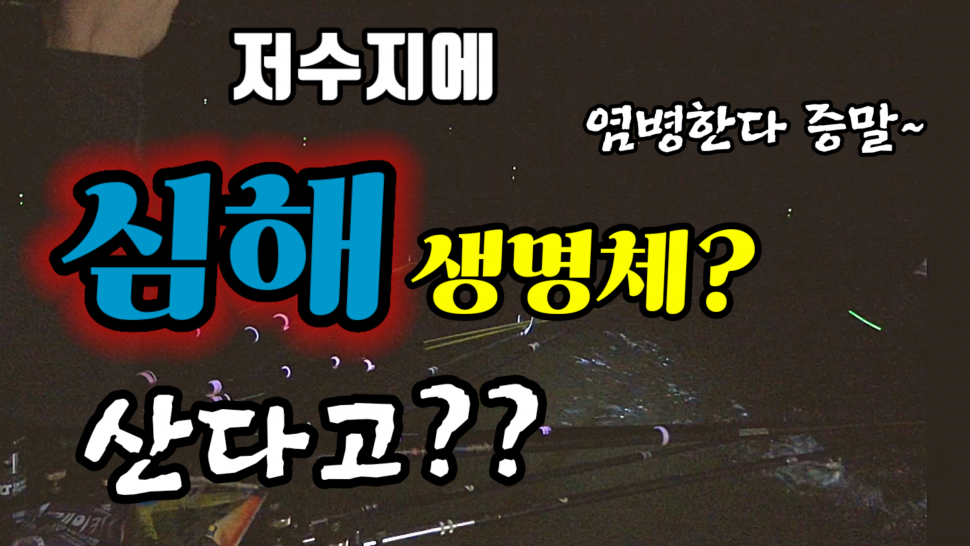 낚시를 방해하는 녀석들의 정체는 (커뮤니티 - 낚시동영상)
