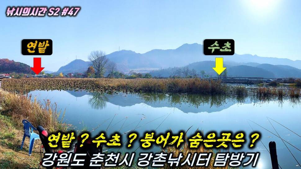 수초에선 꽝 연밭포인트는 (커뮤니티 - 낚시동영상)