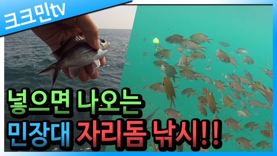 갯바위 자리돔 낚시붕킬채비 (커뮤니티 - 낚시동영상)