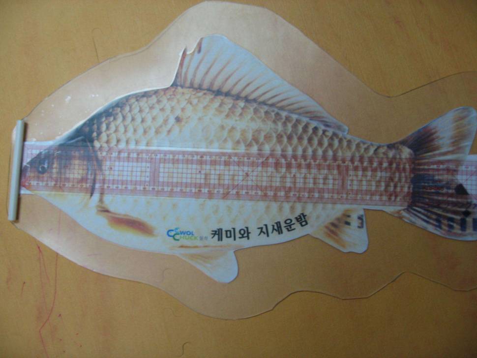 죄송합니다잘못했습니다 (사용기강좌 - 나의낚시장비)