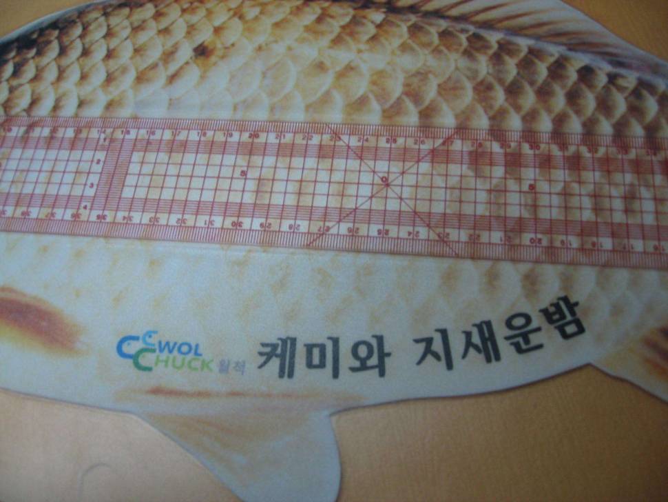 죄송합니다잘못했습니다 (사용기강좌 - 나의낚시장비)