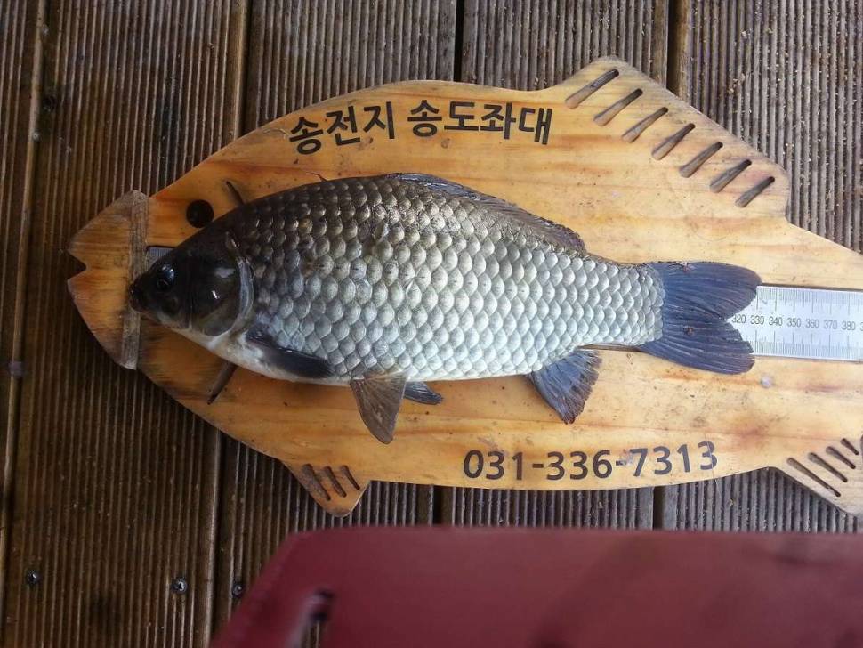 허접자작받침틀 (사용기강좌 - 나의낚시장비)