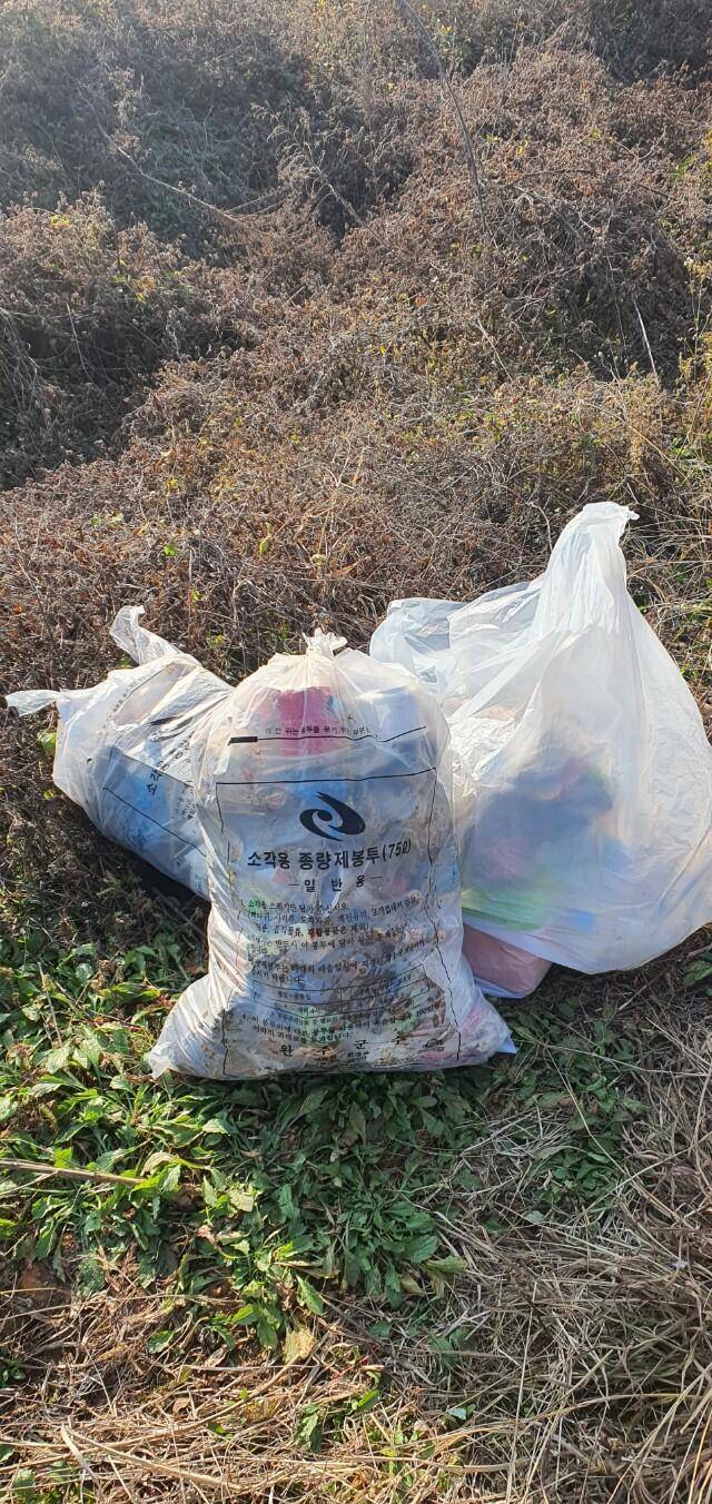 익산 용화제를 아십니까 (커뮤니티 - 낚시터환경개선)