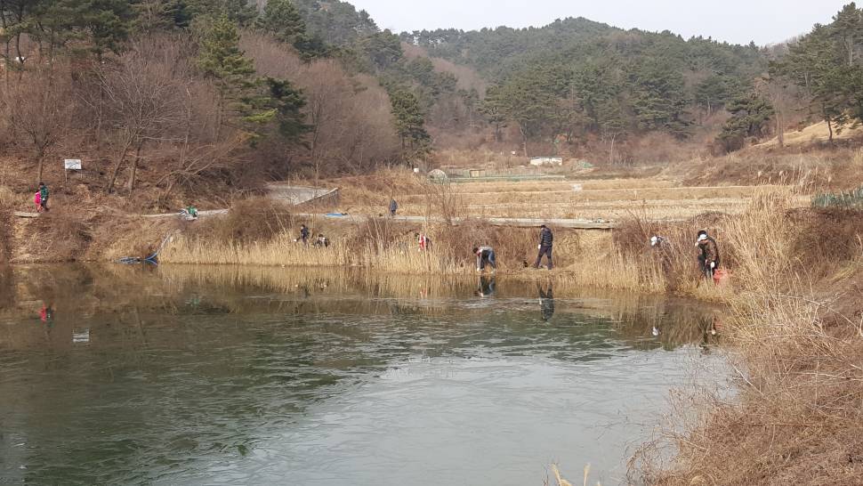 저수지 청소사업을 시작했습니다 (커뮤니티 - 낚시터환경개선)