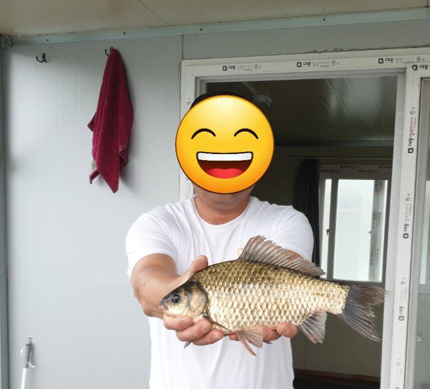 청풍 실리곡낚시터 395cm 허리급 조황입니다 (조황조행기 - 충주호조황속보)