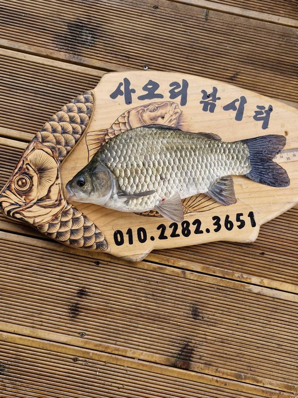 사오리낚시터 조황정보 (조황조행기 - 충주호조황속보)