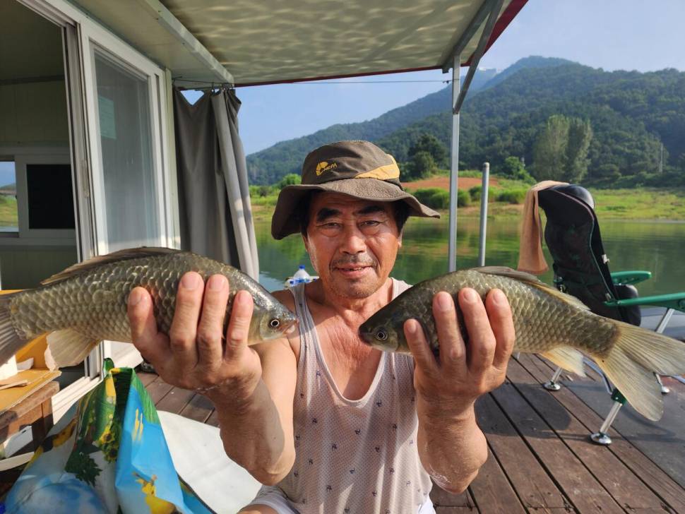 청풍 한버들 조황입니다 (조황조행기 - 충주호조황속보)