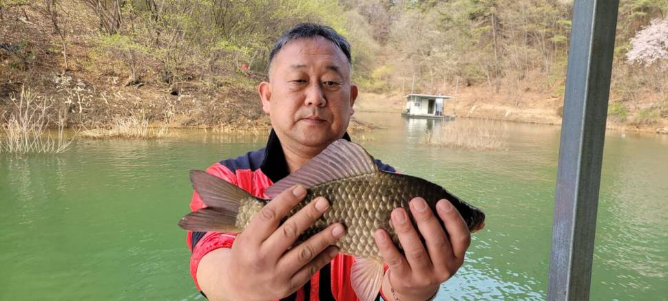청풍신리낚시터 4짜외 허리급 조황입니다 (조황조행기 - 충주호조황속보)