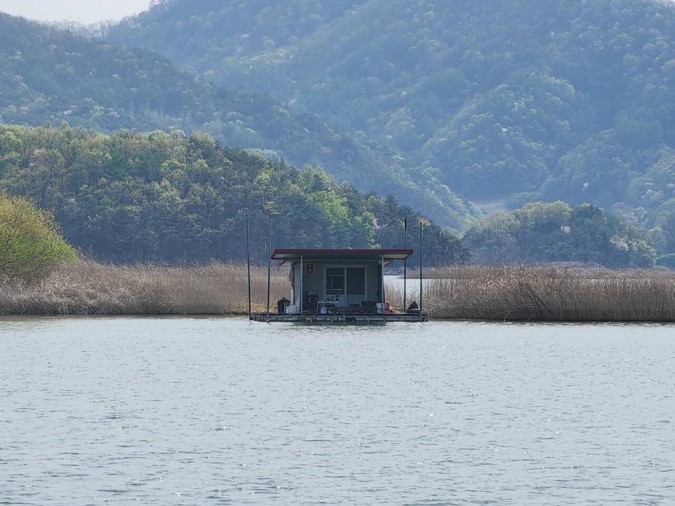 청풍 한버들 4짜 조황입니다 (조황조행기 - 충주호조황속보)