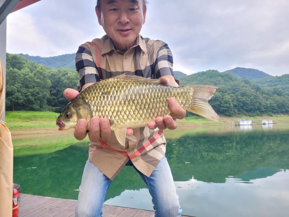 청풍실리곡낚시터 소식입니다 (조황조행기 - 충주호조황속보)