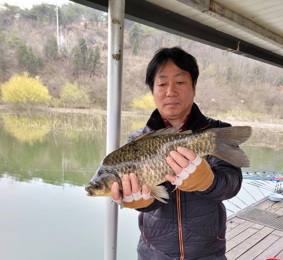청풍실리곡낚시터 438cm4짜4짜4짜4짜 조황입니다 (조황조행기 - 충주호조황속보)