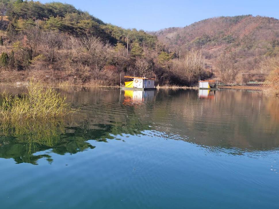 청풍실리곡낚시터 4짜외 허리급 조황입니다 (조황조행기 - 충주호조황속보)