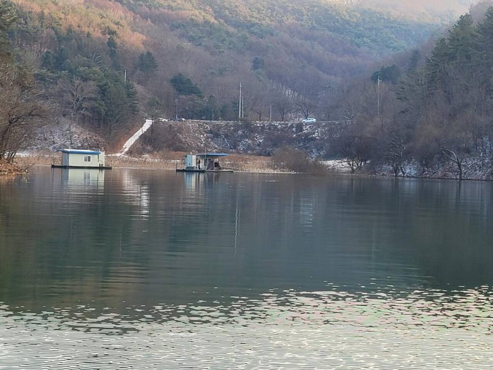 청풍신리낚시터 허리급 조황입니다 (조황조행기 - 충주호조황속보)
