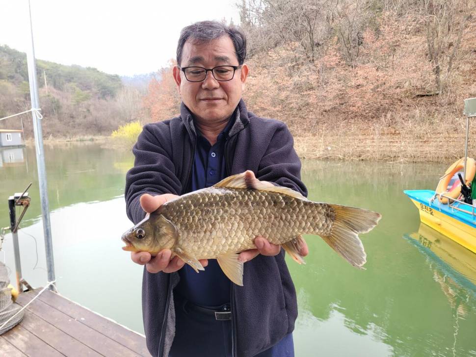 청풍실리곡낚시터 438cm4짜4짜4짜4짜 조황입니다 (조황조행기 - 충주호조황속보)