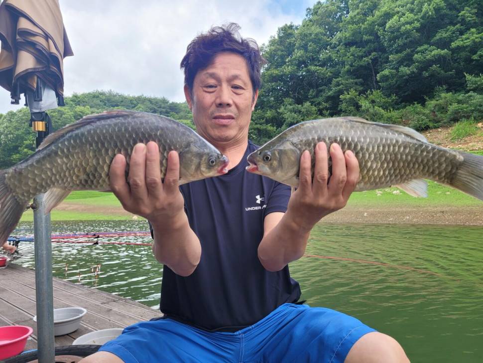 청풍실리곡낚시터 조황입니다 (조황조행기 - 충주호조황속보)