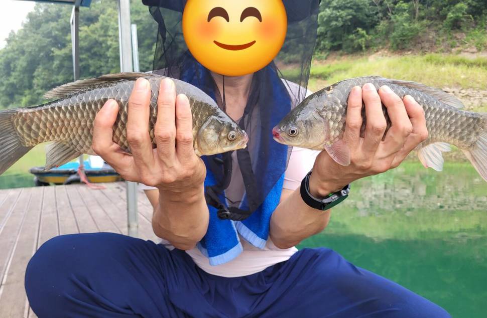 청풍실리곡낚시터 소식입니다 (조황조행기 - 충주호조황속보)