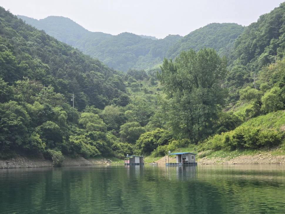충주호목벌 주말조황 (조황조행기 - 충주호조황속보)