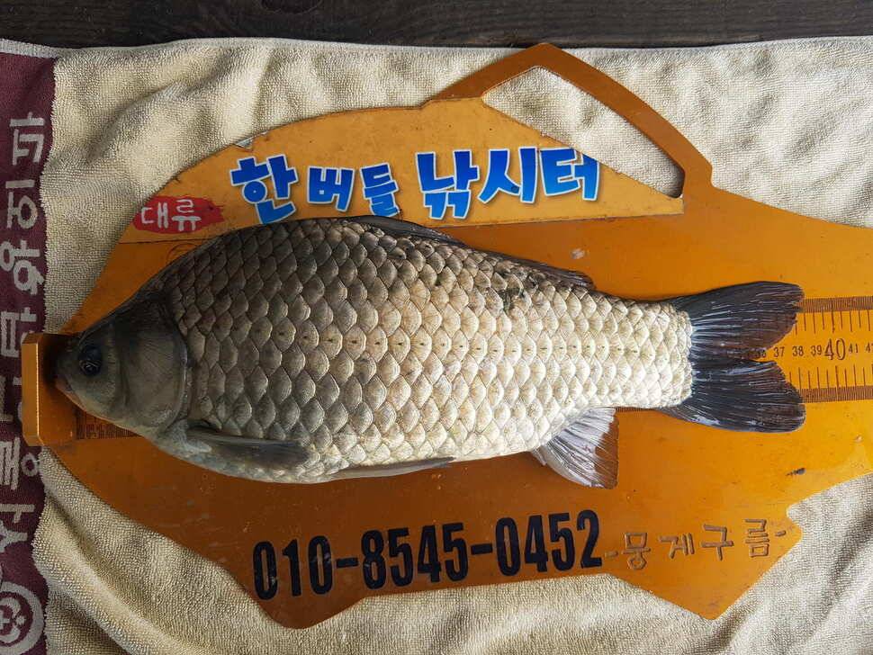 한버들 조황입니다 (조황조행기 - 충주호조황속보)