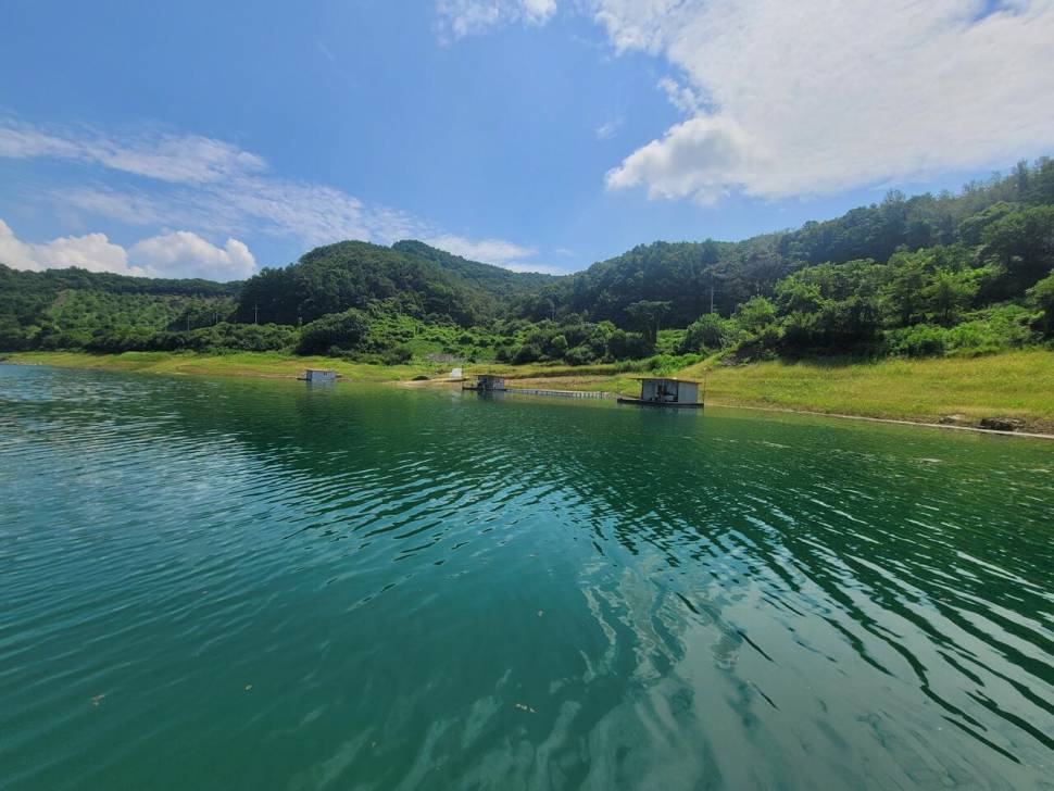 청풍실리곡낚시터 소식입니다 (조황조행기 - 충주호조황속보)
