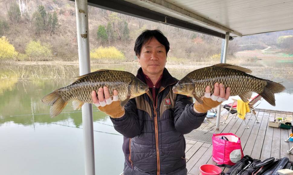 청풍실리곡낚시터 438cm4짜4짜4짜4짜 조황입니다 (조황조행기 - 충주호조황속보)