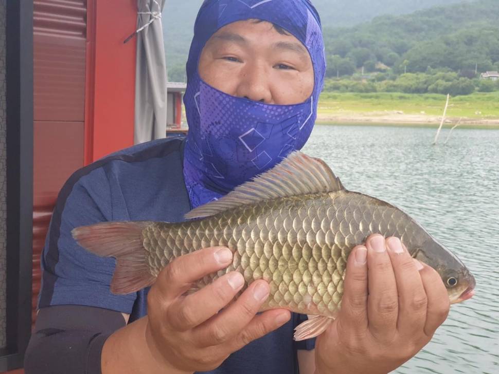 솔낚시터 조황입니다 (조황조행기 - 충주호조황속보)