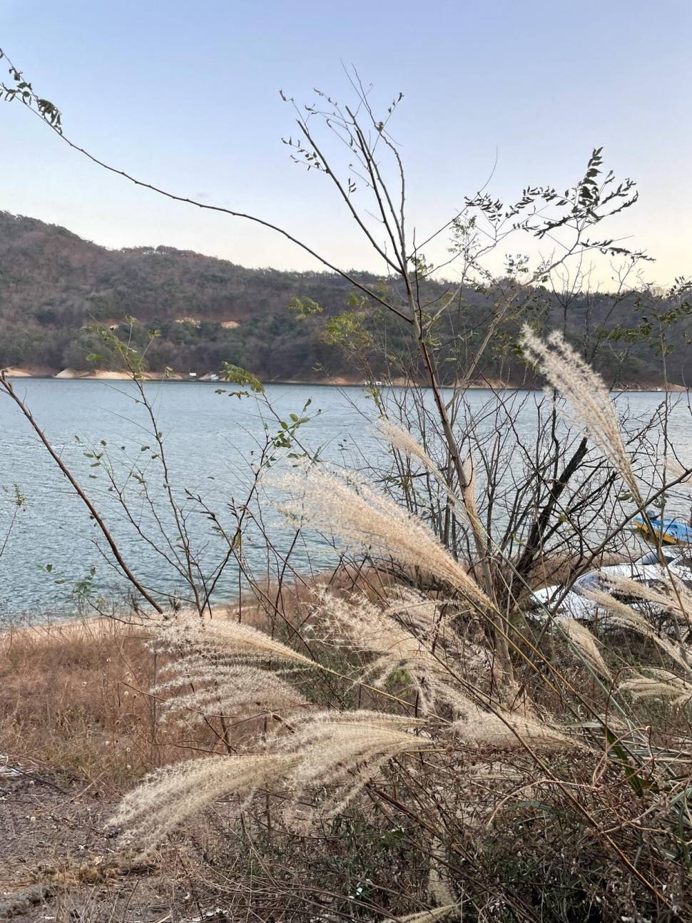 솔낚시터 허리급 및 월척조황 소식입니다 (조황조행기 - 충주호조황속보)