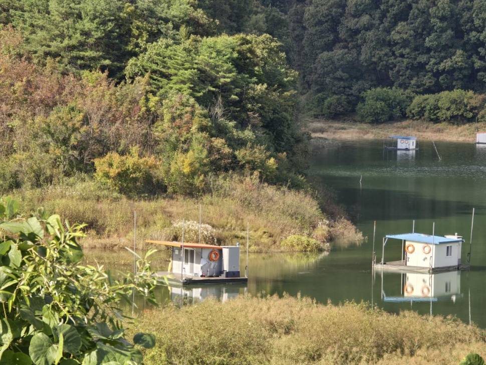 청풍실리곡낚시터 조황입니다 (조황조행기 - 충주호조황속보)