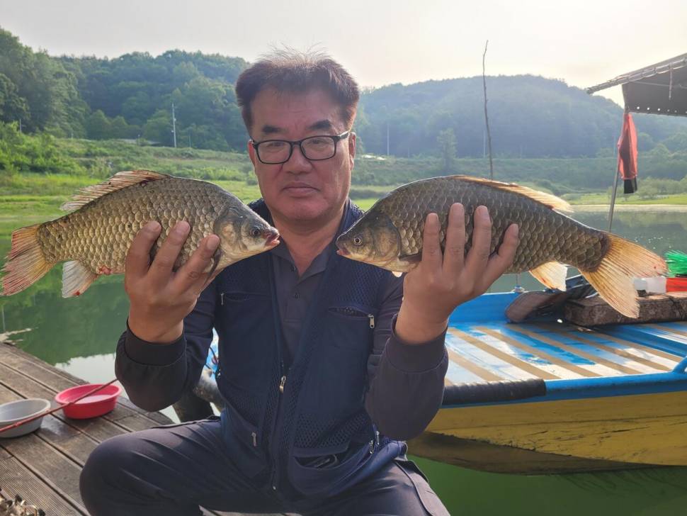 청풍실리곡낚시터 4짜외 허리급 조황입니다 (조황조행기 - 충주호조황속보)