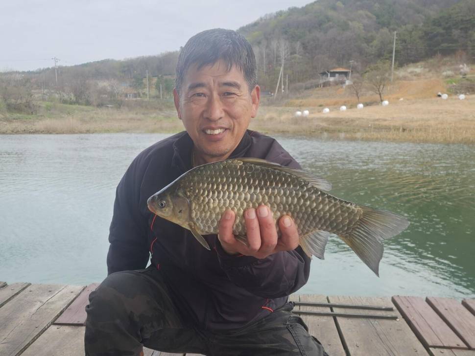 청풍 한버들 4짜 조황입니다 (조황조행기 - 충주호조황속보)