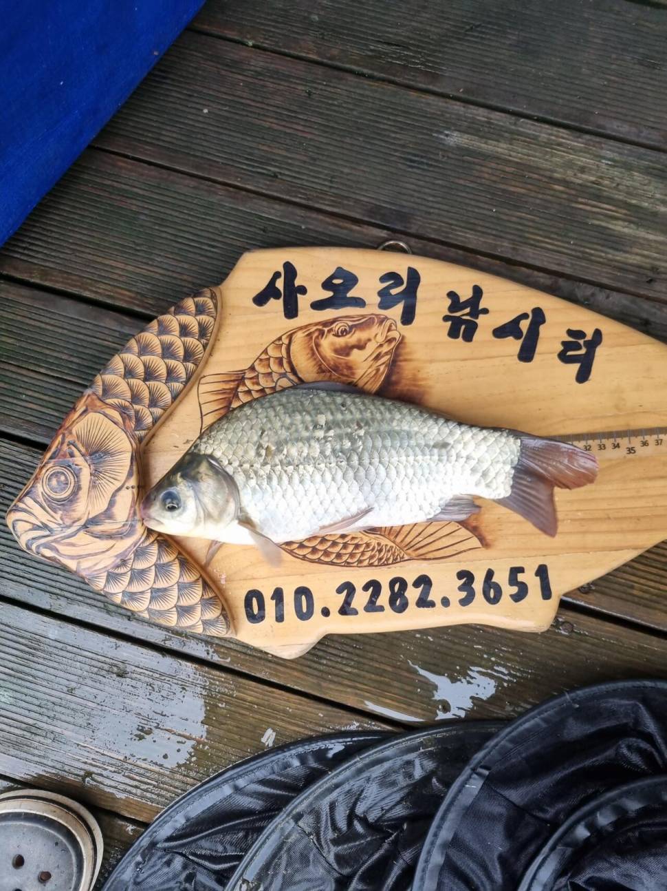 사오리 낚시터 조황정보 (조황조행기 - 충주호조황속보)