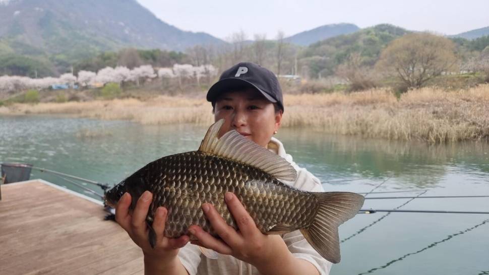 솔낚시터 주중 사짜 및 월척 조황 소식입니다 (조황조행기 - 충주호조황속보)