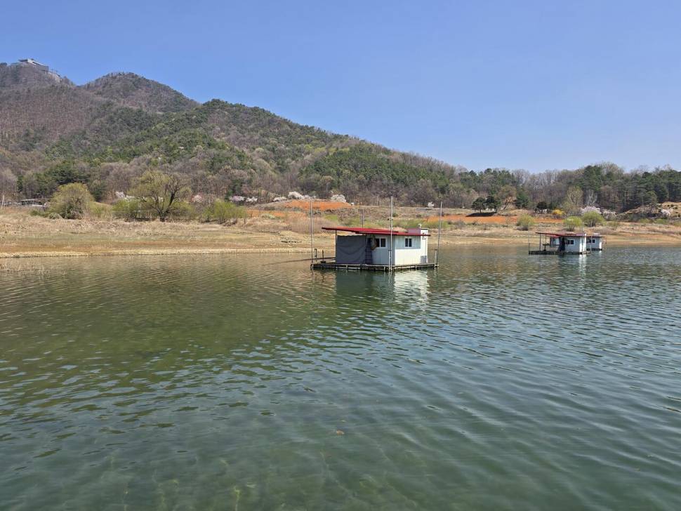 청풍 한버들 호조황입니다 (조황조행기 - 충주호조황속보)