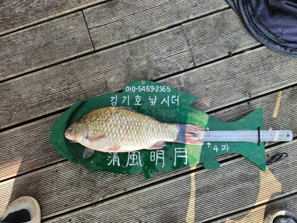 용곡 김기호낚시터 사짜 조황 입니다 (조황조행기 - 충주호조황속보)