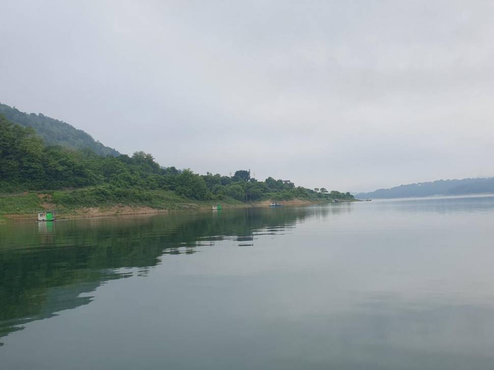 용곡 김기호 낚시터 조황정보 입니다 (조황조행기 - 충주호조황속보)