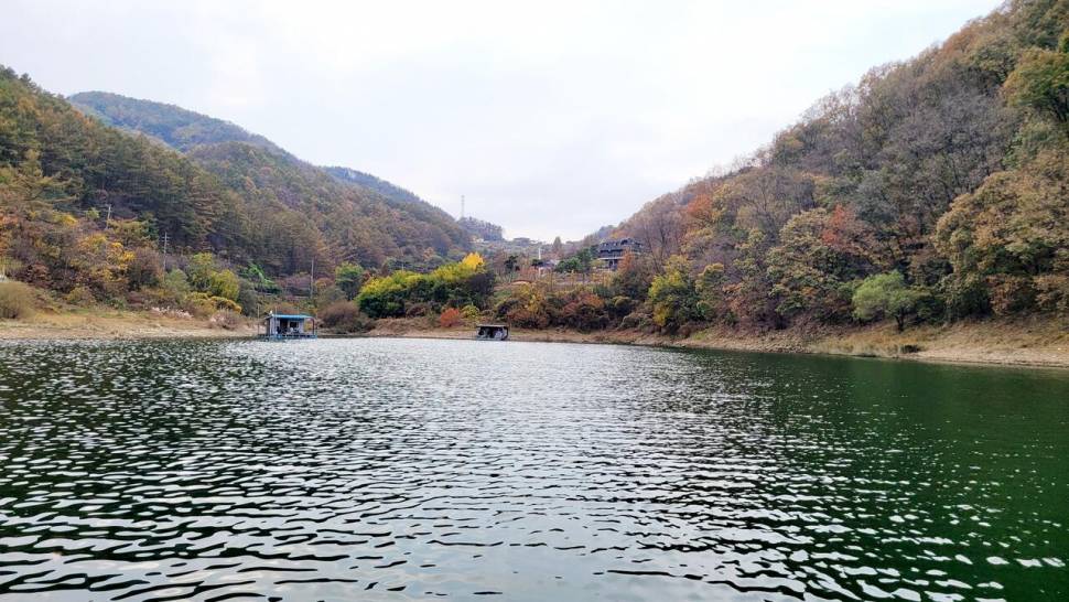 목벌주말조황소식 (조황조행기 - 충주호조황속보)