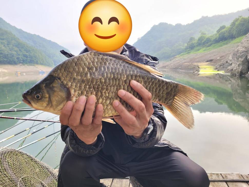 청풍실리곡낚시터 43cm 대물입니다 (조황조행기 - 충주호조황속보)