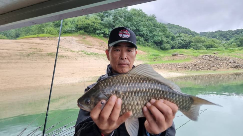 솔낚시터 폭우를 뚫고 사짜를 만나다 (조황조행기 - 충주호조황속보)