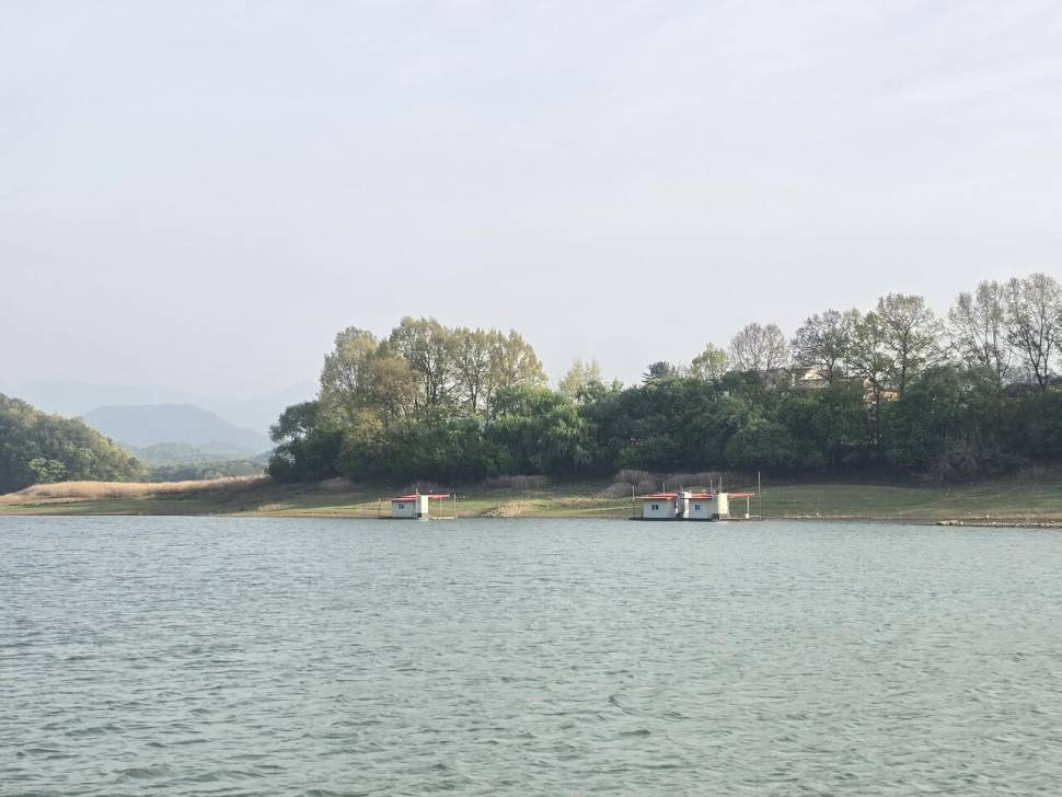 청풍 한버들 조황입니다 (조황조행기 - 충주호조황속보)