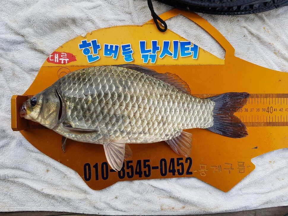 한버들 조황입니다 (조황조행기 - 충주호조황속보)