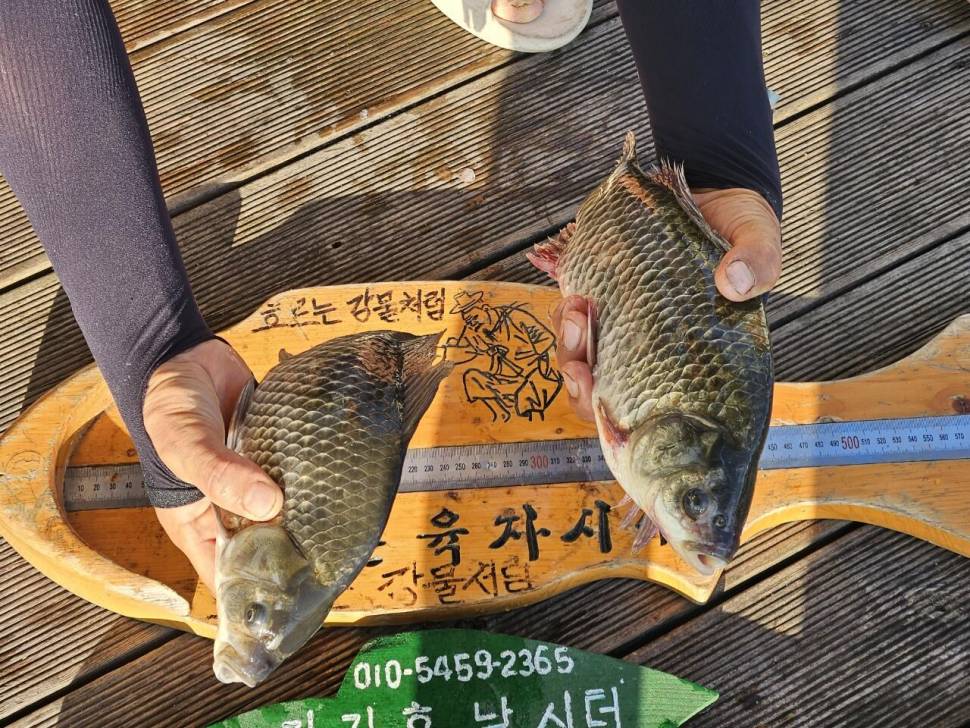 용곡 김기호 낚시터 조황정보 입니다 (조황조행기 - 충주호조황속보)