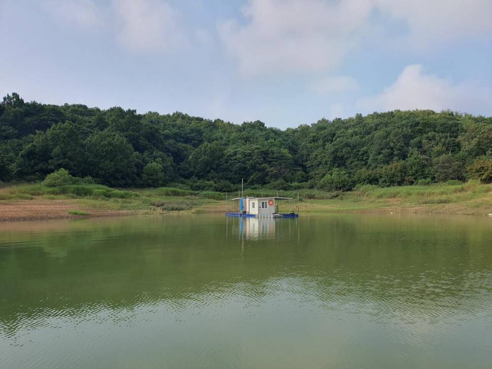 용곡 김기호 낚시터 조황정보 입니다 (조황조행기 - 충주호조황속보)