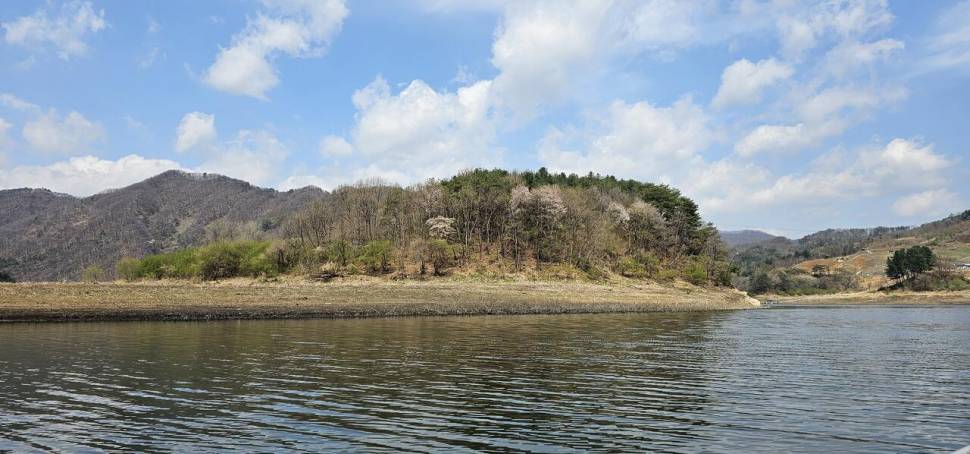 명서낚시터 조황소식입니다 (조황조행기 - 충주호조황속보)