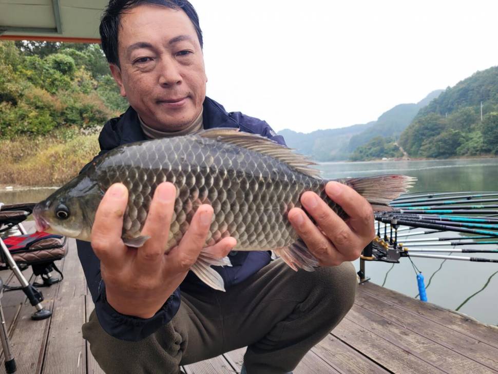 청풍실리곡낚시터 조황입니다 (조황조행기 - 충주호조황속보)